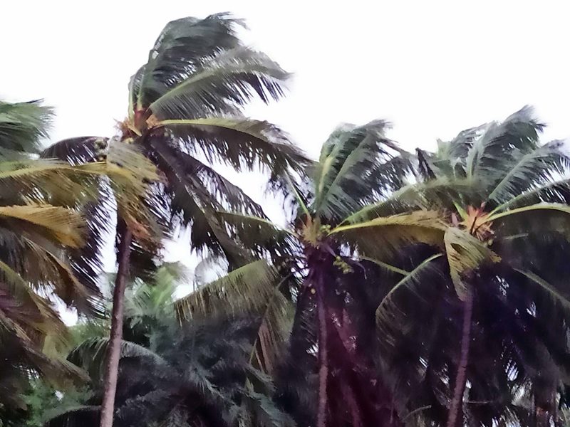 Cyclone Yaas hits Odisha, West Bengal