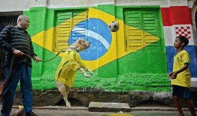 Kolkata roots for Brazil as FIFA World Cup fever grips the city