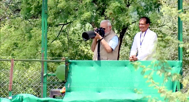 PM Modi launches Project Cheetah in Kuno