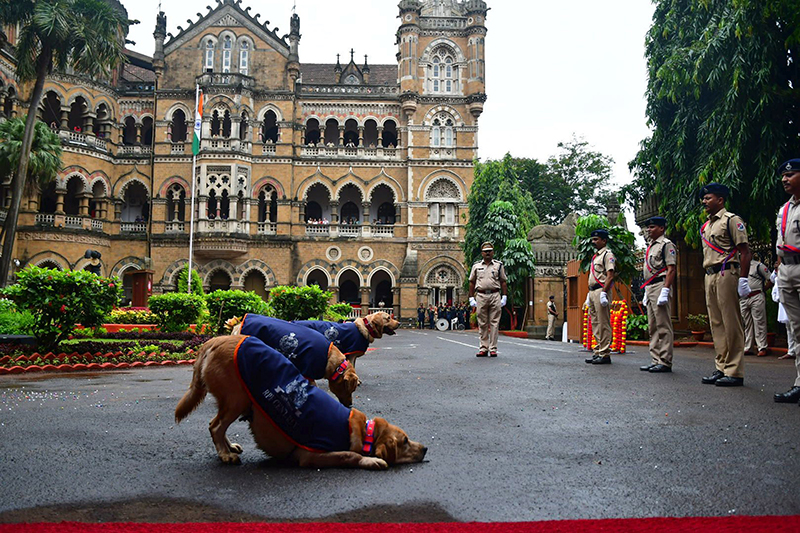 India at 75: Azadi Ka Amrit Mahotsav