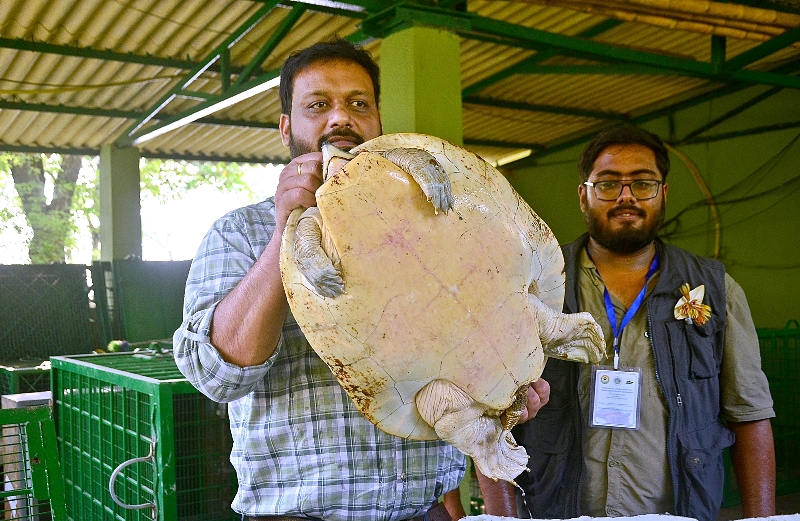 West Bengal's Sundarban celebrates World Turtle Day