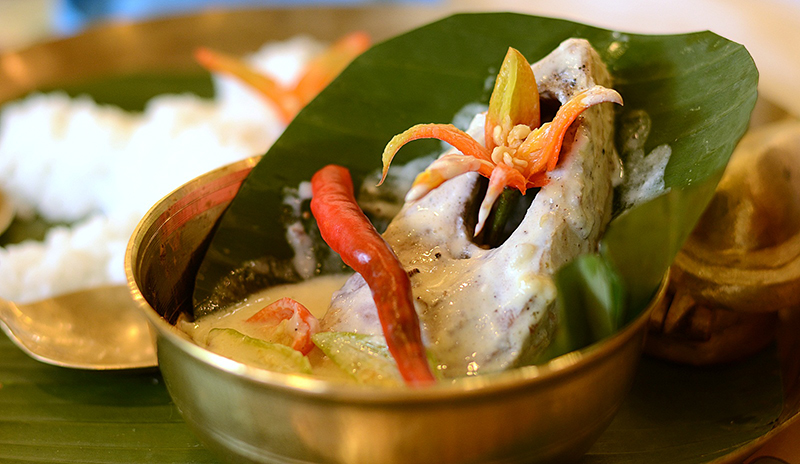 Glimpses of Ilish Utsav in Kolkata