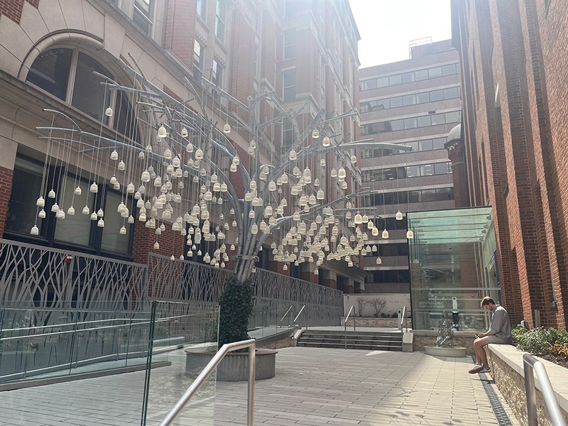 Postcard: Washington DC's Planet Word museum  is ode to power of language and storytelling