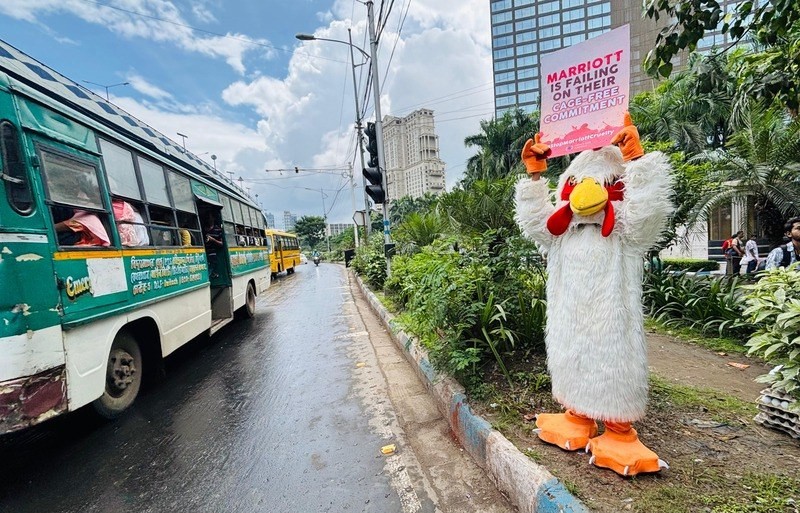 In Images: Activists in bathrobes and a hen protest Marriott’s broken cage-free egg pledge in Kolkata