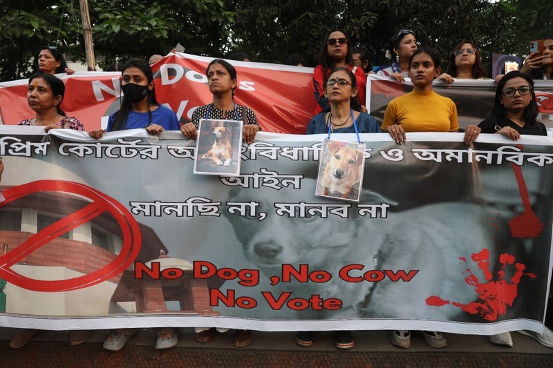 In Images: Animal-lovers march in Kolkata after top court’s stray-dog directive