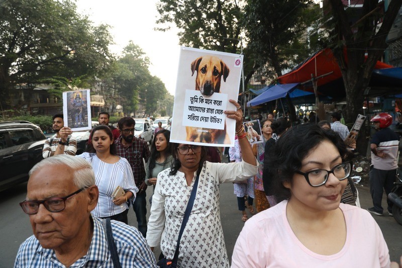 In Images: Animal-lovers march in Kolkata after top court’s stray-dog directive