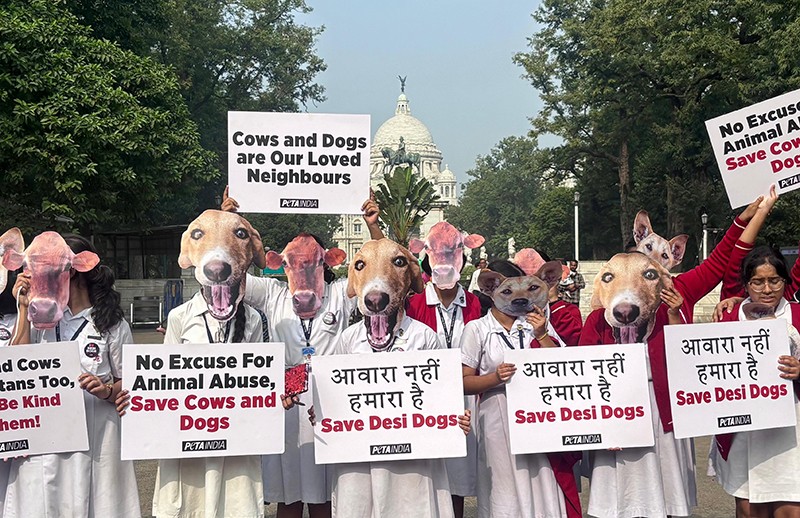 In Images: PETA and students rally against Supreme Court’s animal rounding order in Kolkata