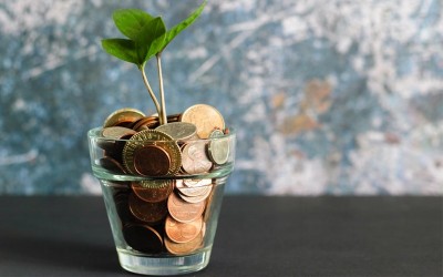 Diversifying Your Portfolio: The Role of Bonds in Wealth Management