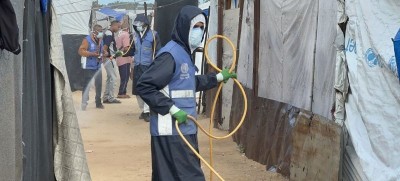 Israel-Palestine Conflict: Plague of rats and insects provide latest challenge for war-shattered Gazans