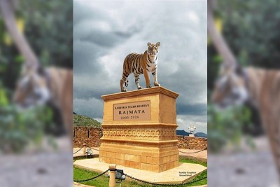 Sariska Tiger Reserve: A maharani recognised