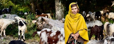 South Kashmir: The costs of coexisting with predatory wildlife