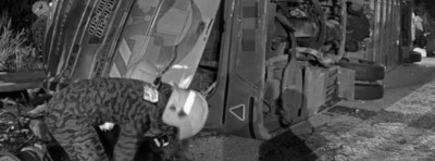 Malaysia: 15 students die in bus mishap