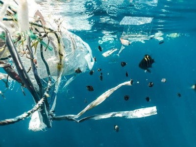 Global push to end plastic pollution gains ground in Nice conference