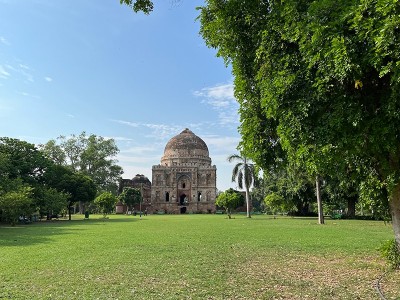 How green is my city