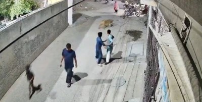 Pakistan: Authorities seize 13 illegally kept lions, arrest five individuals days after Lahore attack