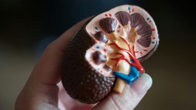 Scientists reveal new ways to predict course of chronic kidney disease