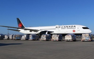 Air Canada flights remain grounded as Canadian government intervenes to end cabin crew's strike