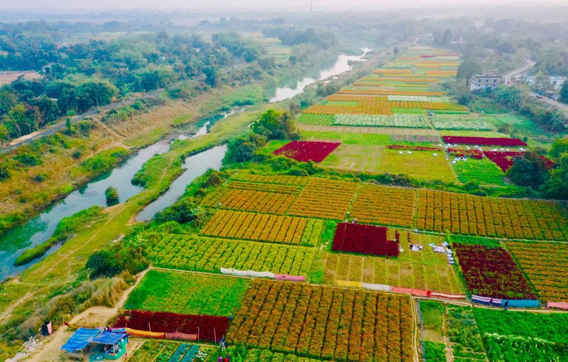 Khirai Flower Valley Colours West Bengal’s Countryside