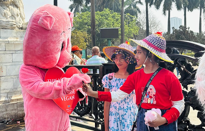 In Images: Love gets a vegan twist as activists hit the streets