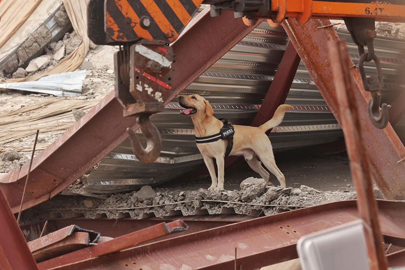 In Images: NDRF, Army intensify search as more bodies recovered from Taratala godown collapse site
