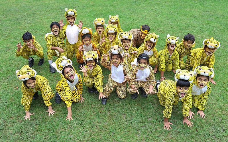 Indian Museum Kolkata celebrates International Tiger Day