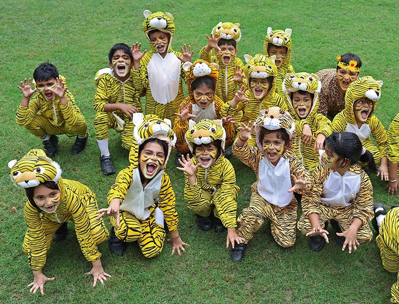 Indian Museum Kolkata celebrates International Tiger Day