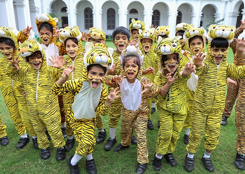 Indian Museum Kolkata celebrates International Tiger Day