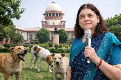 Supreme Court slams Maneka Gandhi over remarks on stray dogs case, flags possible contempt