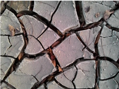 Super El Nino alert: 451,000 deaths could follow as extreme heat grips the world, warns study
