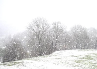 Afghanistan: 12 children die due to heavy snowfall 