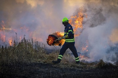 Hawaii: Wildfire death toll rises to 53