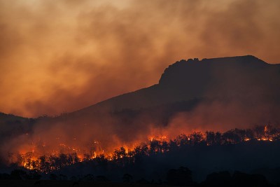 Forest fire damages hundreds of trees, precious shrubs in Balochistan