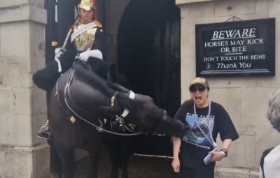 Viral video shows tourist fainting after King's Guard Horse bites her in London while posing for photo