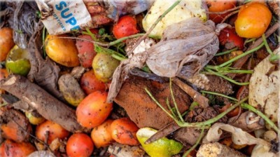 UN study says with 783 million people going hungry, a fifth of all food goes to waste