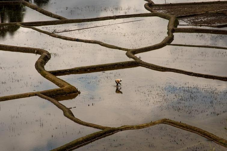 Most Indian banks fail on policies of climate change and human rights, according to a recent study