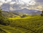 Arunachal Pradesh students motivated to become tea entrepreneurs during their visit to gardens