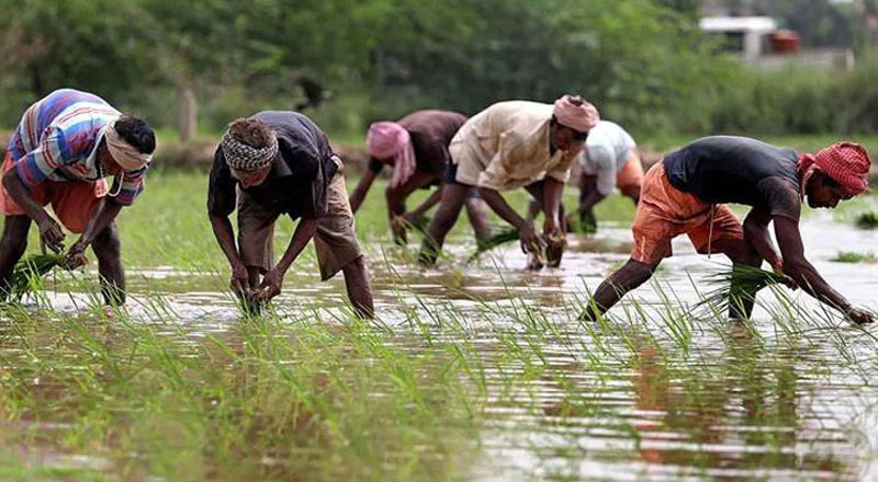 How migrant workers are shaping Punjab’s progress and prosperity