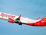 SpiceJet QIP: Board approves issue of 48.7 crore share allotment at Rs 61.80 per share