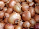 Centre lifts minimum price limit on onion export