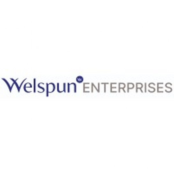 Welspun Enterprises Q2FY25 profit drops 11% YoY to Rs 61.56%