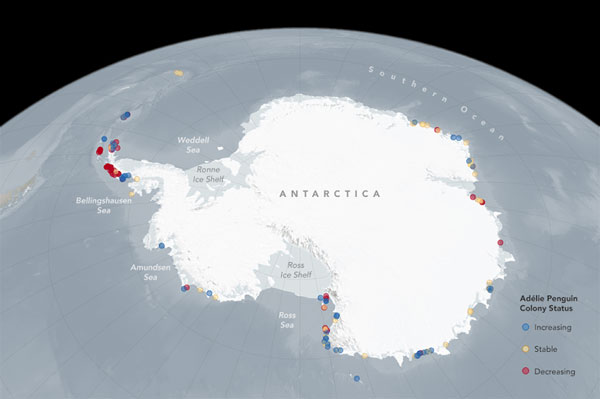 Climate change may shrink AdÃ©lie Penguin range by end of century