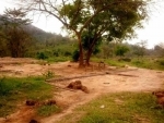 WTI secures corridor for elephants as villagers voluntarily relocate