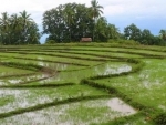 Climate-proofing Timor-Leste