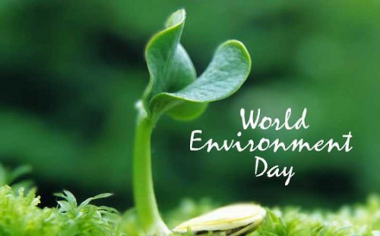 World Environment day observed at INA