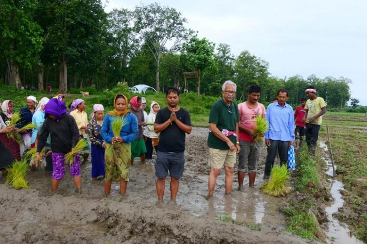 Assam villagers donate 200 bigha land to create meal zone for wild elephants