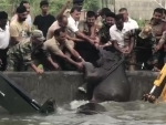 Assam: Indian army-forest personnel rescue elephant calf and mother from a water tank