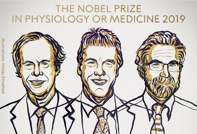 William G. Kaelin Jr, Sir Peter J. Ratcliffe, Gregg L. Semenza win Nobel prize in Medicine 