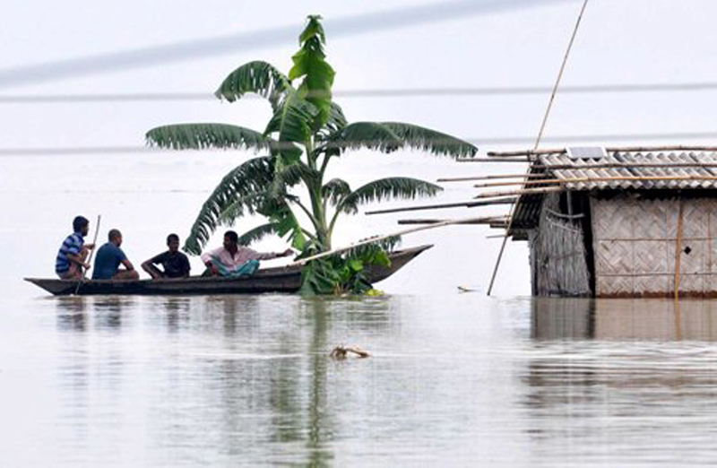 Assam flood affects over 25 lakh people, toll now 84