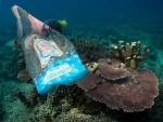 Tackling marine pollution: Individual action, key to ocean restoration