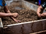 Hands-on training program for school children on organic farming and vermicomposting